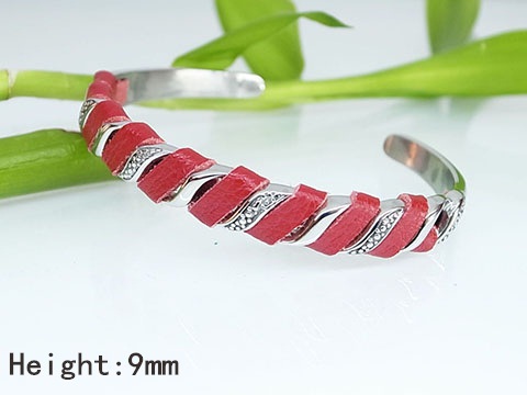 ������ Danieli ���������� �� ���������� ������� 316L (DCB12750)