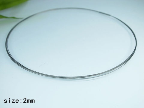 ������� Danieli ���������� �� ���������� ������� 316L (DCN871-2mm)